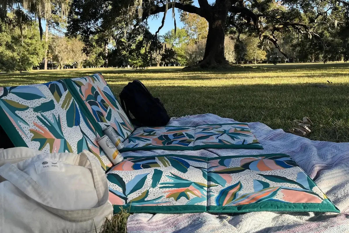 Outdoor romantic picnic idea for couples with lounge chairs at the park
