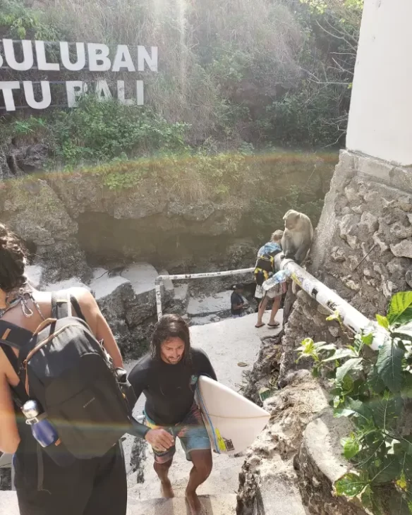 Monkey and surfers at the entrance steps at Suluban Beach Bali