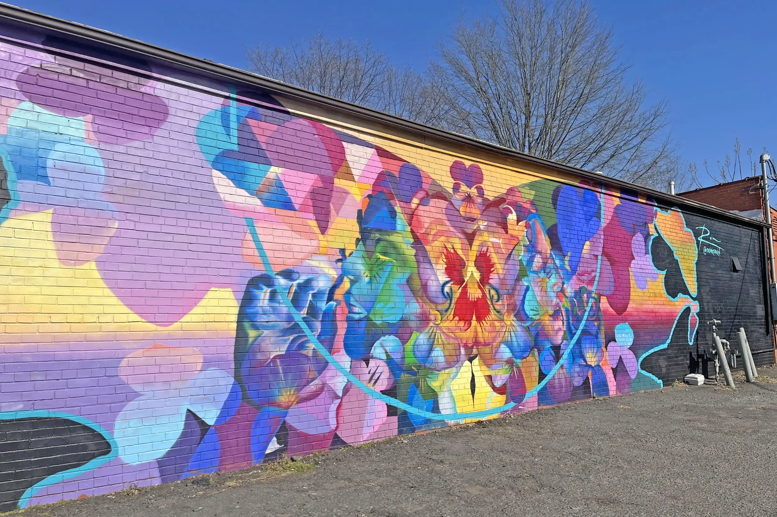 Cover photo for the blog on things to do in NoDa Charlotte by Inspired Backpacker blog. The photo is of a mural in NoDa, created by Osiris Rain