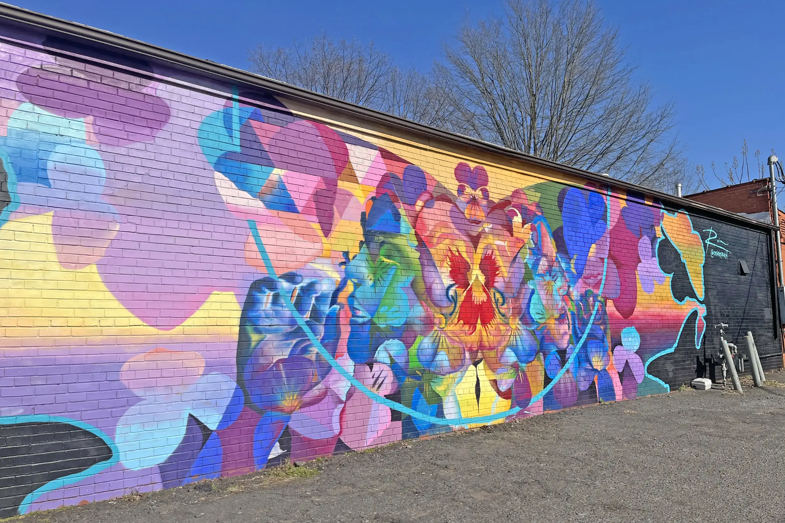 45+ Things to Do In NoDa Charlotte NC How to Explore NoDa