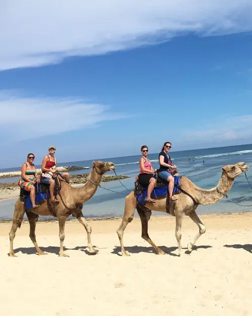 A camel tour at Sawangan Beach