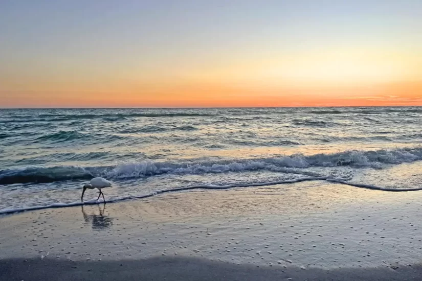 Sunset St Pete Beach FL | Where to Watch the Sun Go Down