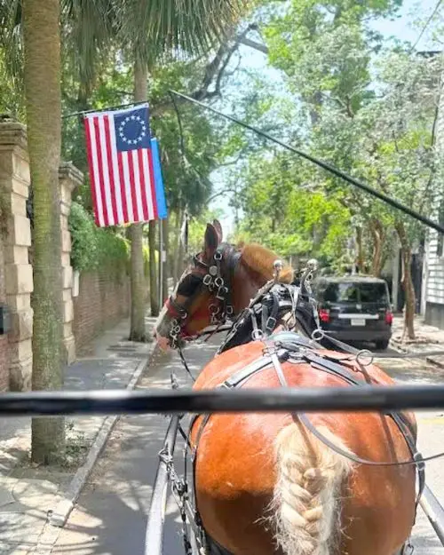 A POV view of a horse which is leading a carriage ride through the streets with an American flag in the background