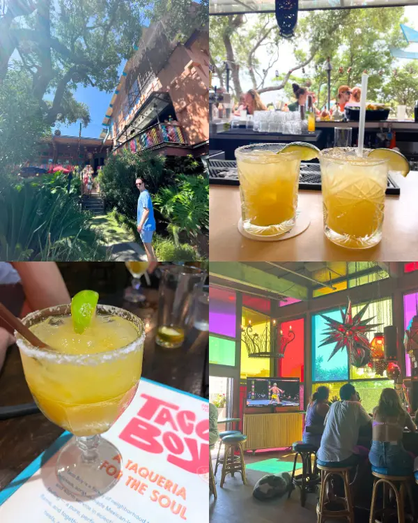 A few colorful cocktails, a mosaic / stain glass wall and the bar exterior surrounded by trees on a sunny day at Taco Boy