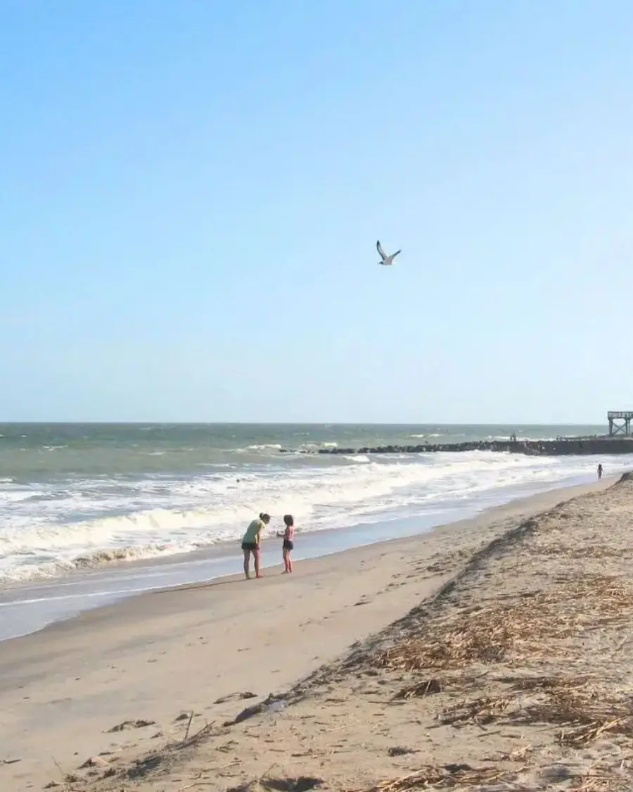 Edisto Beach State Park with a bird flying over a couple looking at seashells in the sand