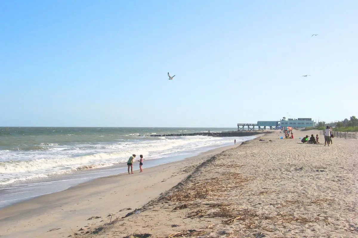 Edisto Beach State Park with a bird flying over a couple looking at seashells in the sand