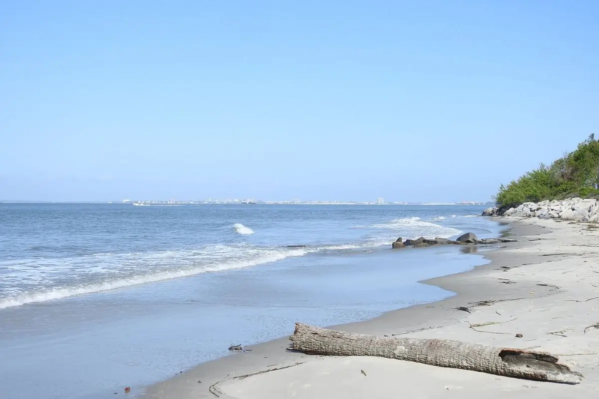 A log on an empty beach at Sullivan's Island with Charleston Harbor in the distance on a sunny beautiful day