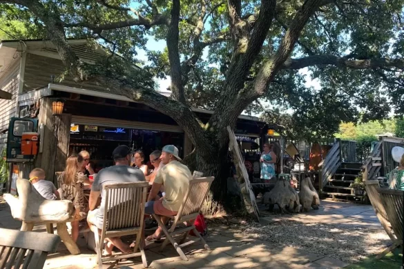 A wooded beer garden with tables and trees overhead on a sunny day