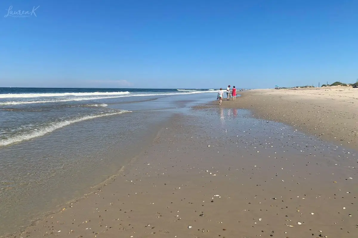 Pea Island beach with shells washing up and a family walking ahead, which is one of the best things to do in Outer Banks for people who like to shell hunt