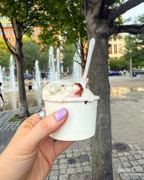 A cup of Cheesecake Gelato from Altani at Washington DC Canal Park
