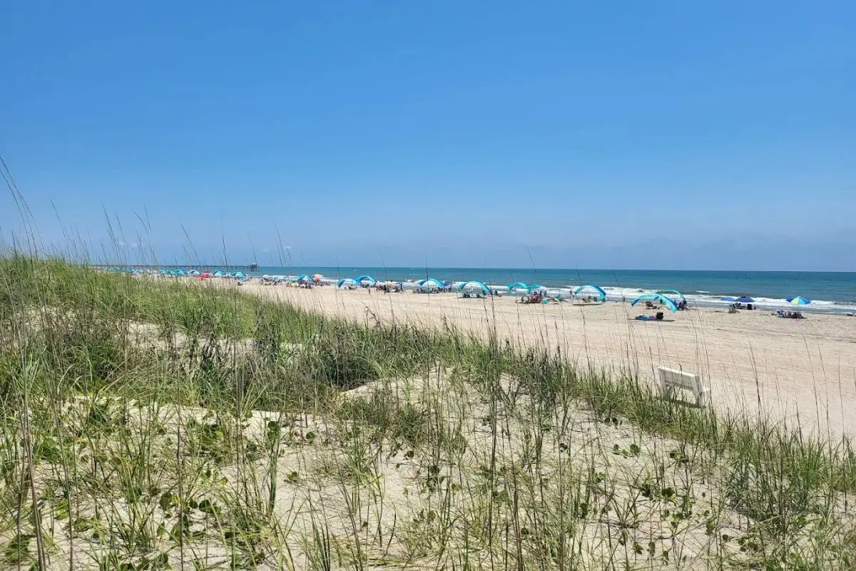 The ferns that lead into the sandy beach on a sunny day with umbrellas dotting the beach at Atlantic Beach