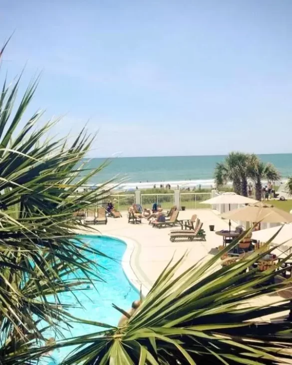 The glassy pool at the Island Resort under a sunny sky with palm trees in the foreground, showing that its a tropical paradise