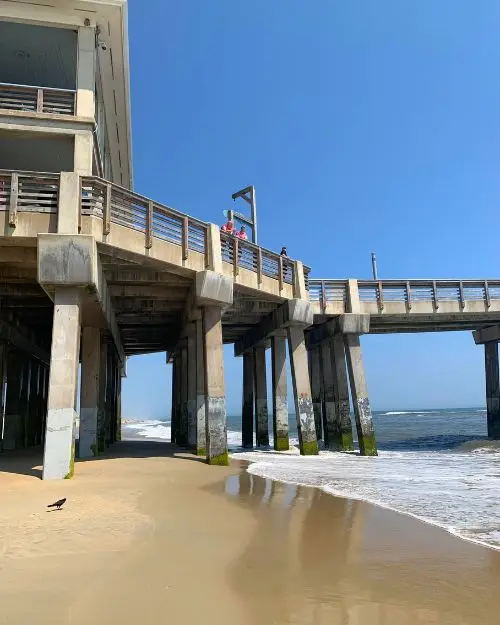 The tall Jeanette's Pier from the beach with the ocean underneath