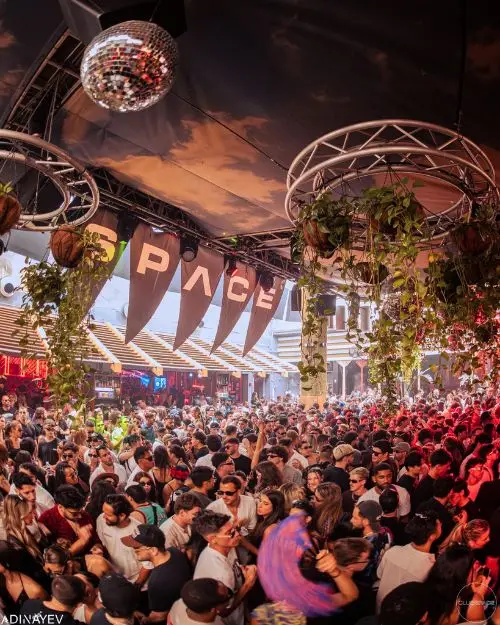 A very crowded Club Space with disco ball overhead and plants hanging from the rafters