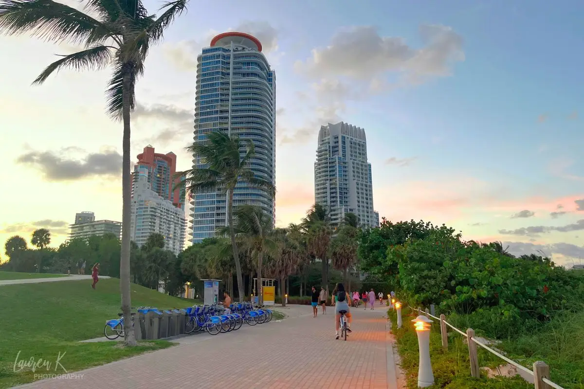 People walking and biking along the Miami Beach boardwalk, with high rises in the background and palm trees being blown in the wind at sunset and lush greenery surrounding the trail