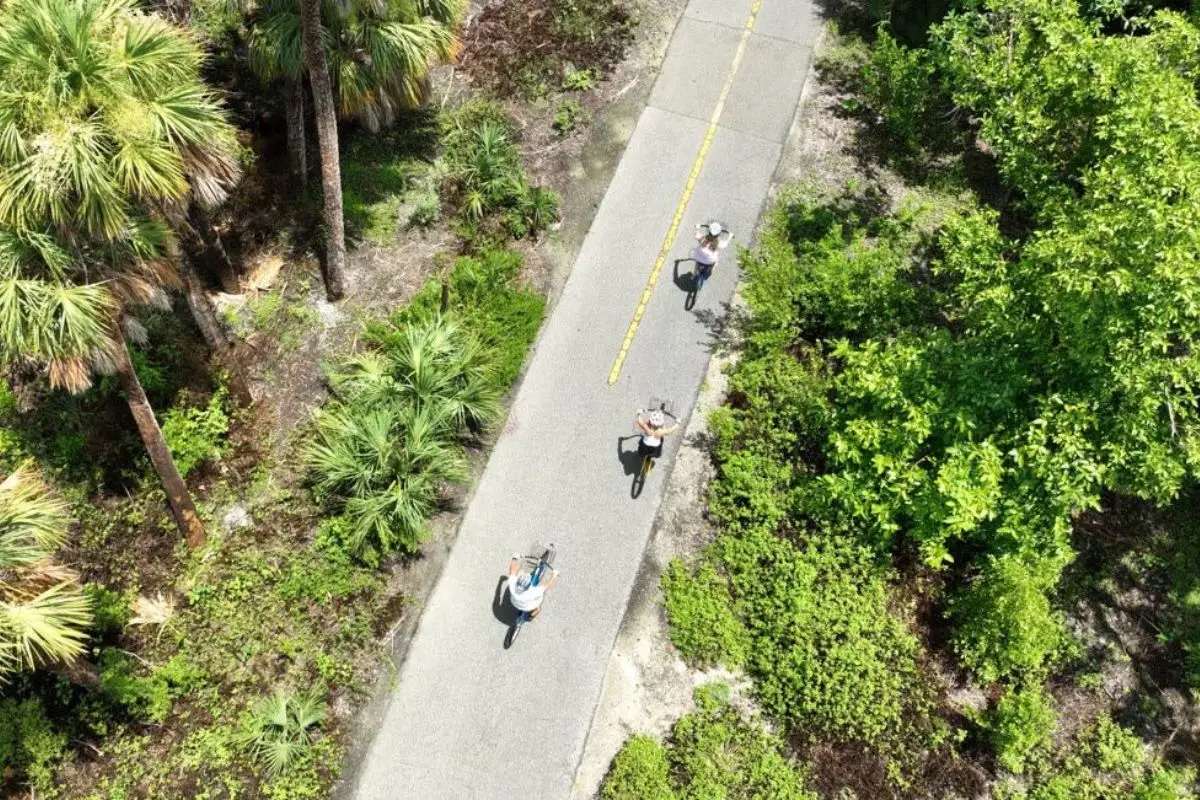 An aerial view of bikers on a designated biking path surrounded by palm trees