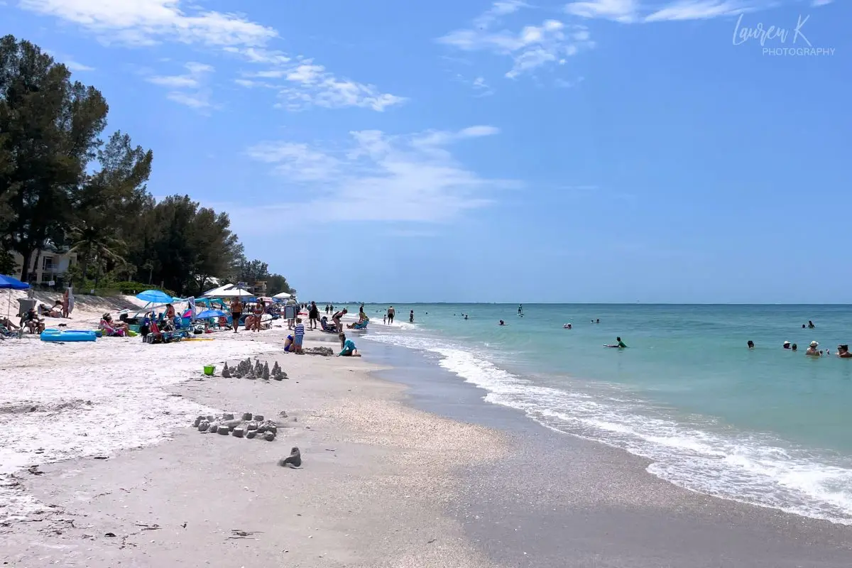 Trees just off the beach and a sunny beach day at Sunset Beach with people in the ocean and on the sand