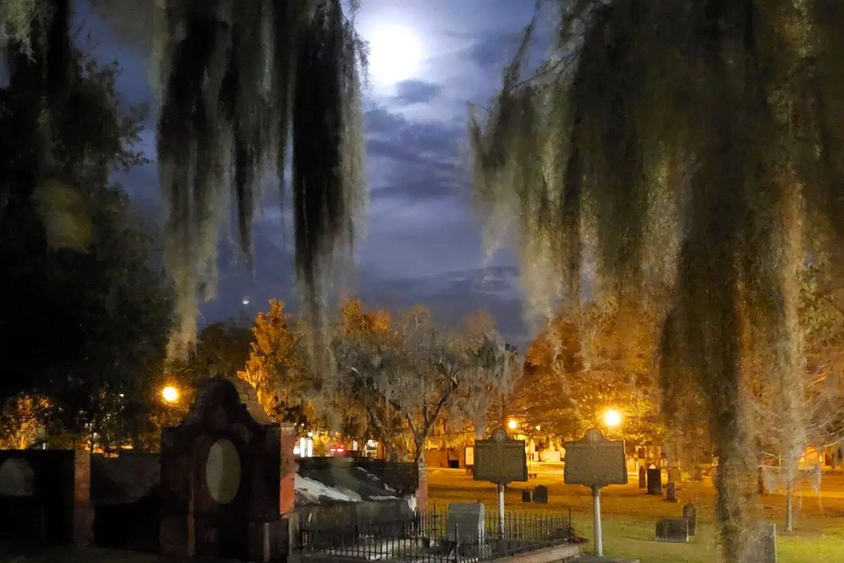 A cemetery in Savannah, GA at night under willow trees