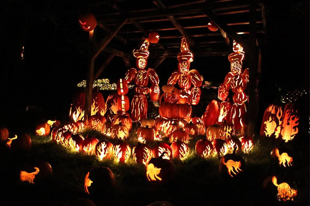 A big display of lit up glowing pumpkins at the Great Jack’o’Lantern blaze at night