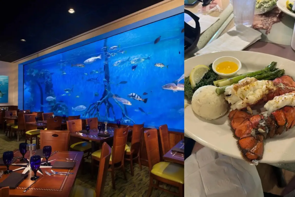 Cover image for the best restaurants in St Pete Beach blog which shows Rum Fish Grill aquarium and fresh seafood