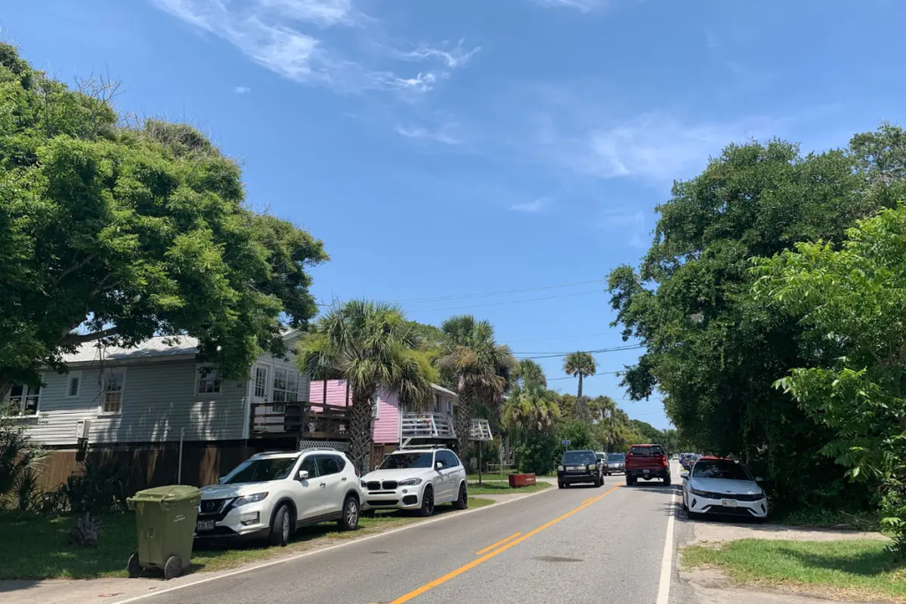 Cover image for the Folly Beach parking blog which shows a treet surrounded by trees in Folly