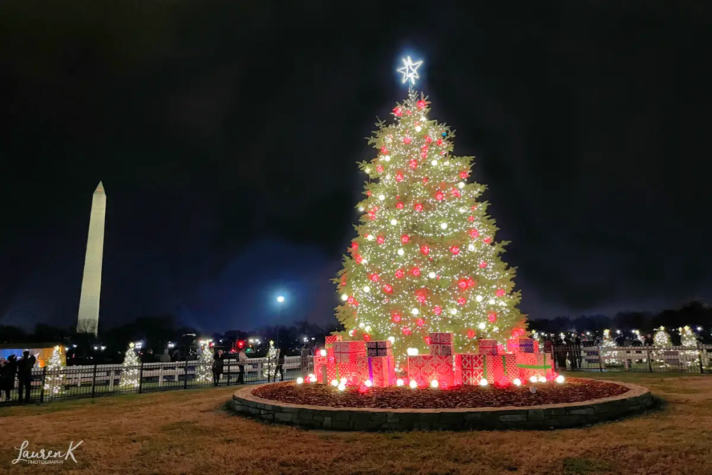 National Christmas Tree and National Monument at night time as a cover image for the Washington DC Christmas events blog