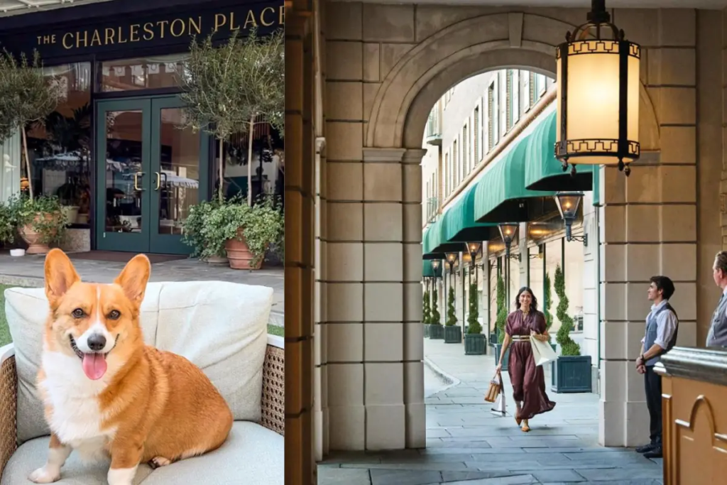 Cover image for the pet friendly hotels Charleston SC blog post, which shows a happy dog and a woman walking under an arch at a sunny Charleston hotel