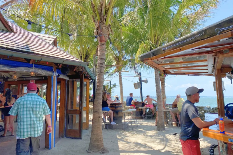 Palm trees and outdoor seating at Seacrets bar in Ocean City, MD, with the bay visible in the background, as the cover image for the things to do in ocean city md blog post